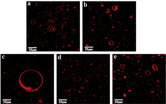 Fig. 5. Confocal microscopy images of DMPC GUVs mixed with HIV-1 FP, which was incubated with E1 synthetic peptides: P7 (a), P8 (b), P10 (c), P18 (d), and P22 (e).