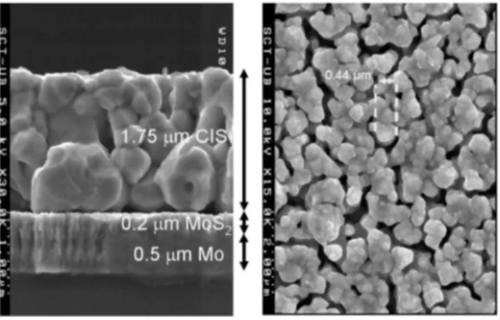 Figure 1 shows SEM pictures obtained from samples grown at the lowest temperature 共T nom = 550 ° C 兲