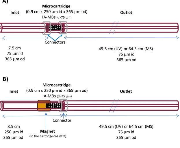 Figure 1. Representations  of the  microcartridge  designs  A)  UAPA or UAAF  MBs  are  trapped in a microcartridge body of 250 µm id due to their particle size and B) UAPA or  UAAF  MBs  are  retained  in  one  of  the  ends  of  a  piece  of  250  µm  id