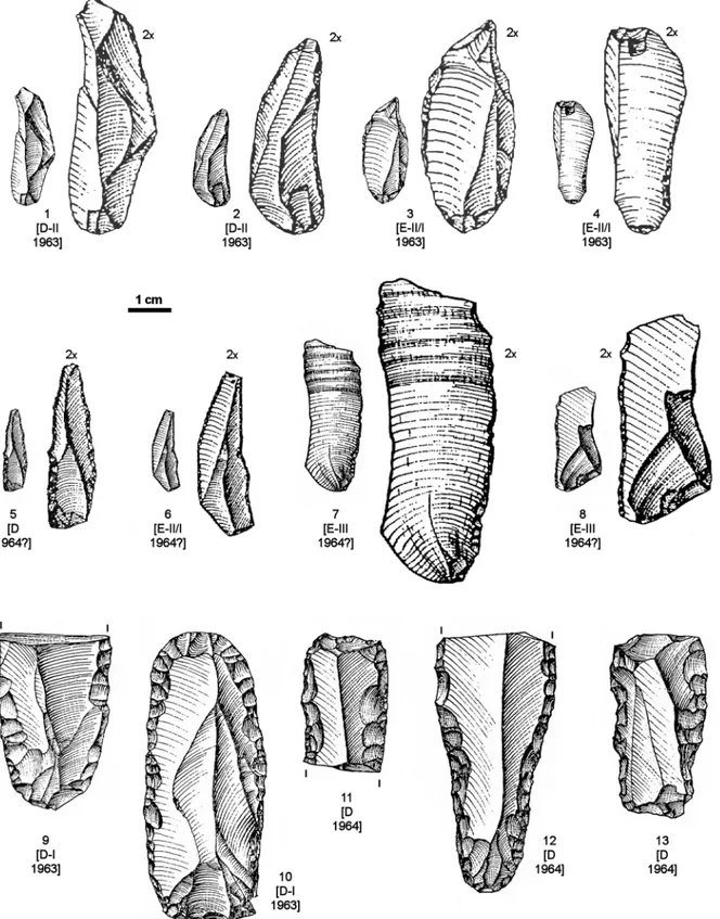 Fig 4. Aurignacian/Protoaurignacian diagnostics from Grotta del Cavallo. Diagnostic Aurignacian or Protoaurignacian stone tools recovered from layers D and E in the 1963 –64 field seasons, those during which the human teeth were discovered