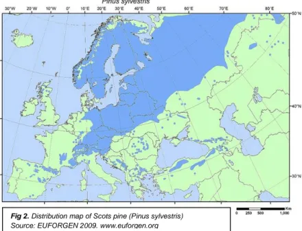 Fig 2. Distribution map of Scots pine (Pinus sylvestris) 