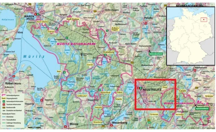Fig 6. Area of the Müritz-Nationalpark. On the red square the study area, including the area closed to Neustrelitz and Sarrihn, place where the 