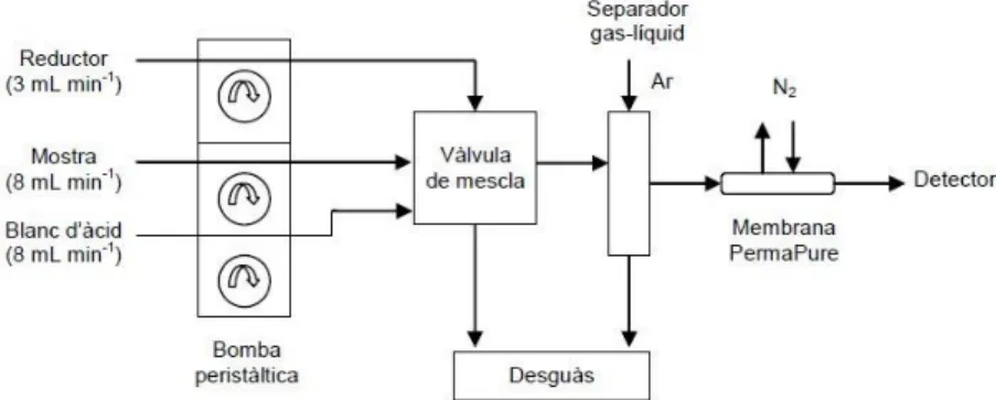 Figura 7. Esquema del generador de vapor fred. 