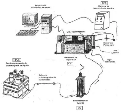 Figura 9. Esquema de l’acoblament HPLC-UV-CV-AFS. 