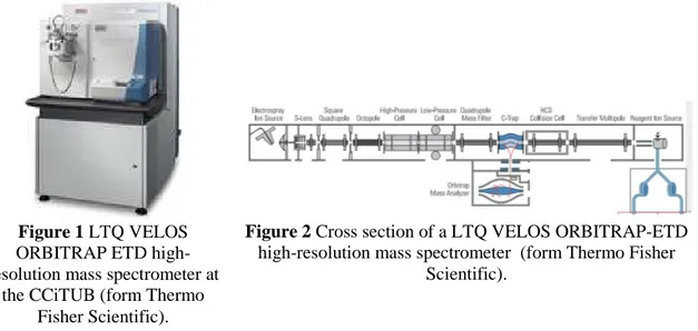 Figure 2 Cross section of a LTQ VELOS ORBITRAP-ETD  high-resolution mass spectrometer  (form Thermo Fisher 