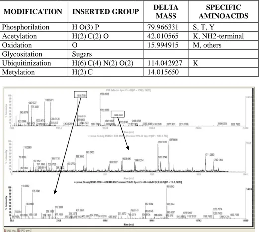 Table 1. Typical modifications of proteins in specific aminoacids  MODIFICATION  INSERTED GROUP  DELTA 
