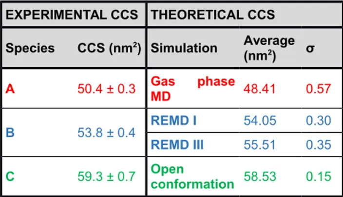 Table 1: Experimental (left panel) and theoretical (right panel) CCSs of POP species. Errors in the experimental CCS are expressed as the standard deviation.