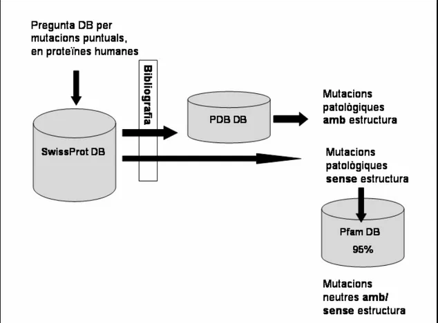 Fig 1. Esquema de selecció de mutacions neutres i patològiques. 