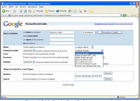 Figura 8.7.1.2. Google. Pantalla de cerca avançada. 