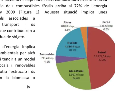 Figura 1: Consum d’energia primària de Catalunya l’any 2009.  Font: ICAEN [19] 