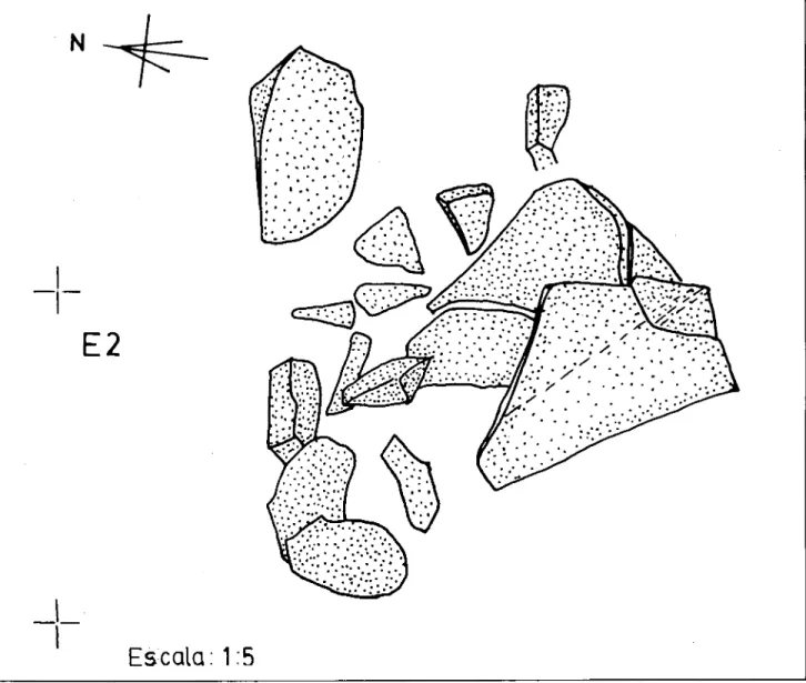 Fig. 7 - Acumulació d'IA de sorrenques en el quadre E2.