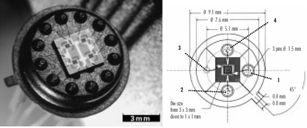Figura 1.7: Sensor micromecanitzat desenvolupat per Microsens [Microsens] 