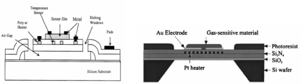 Figura 2.6: Esquema de la secció de membranes tancades (esquerre) [Yan01] i suspeses 