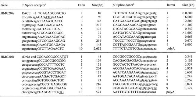 Table 1.  Intron-exon boundary sequences of HMG20A and HMG20B