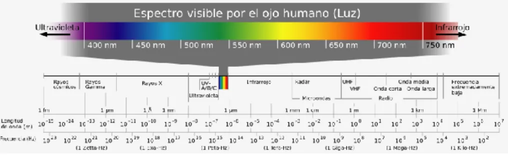 Figura 1. Equivalencias entre longitudes de onda y frecuencias en el espectro visible 