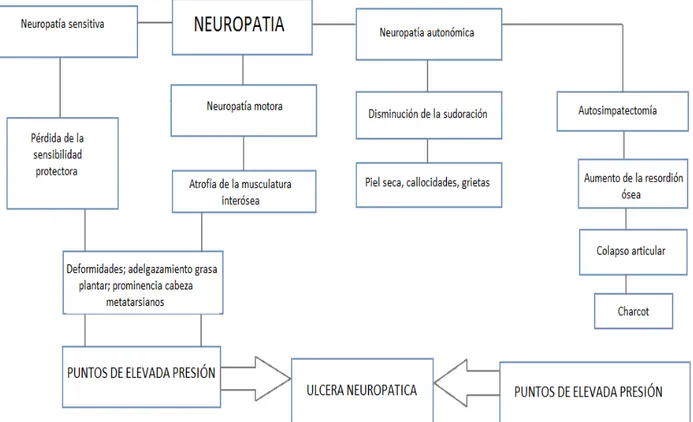 Tabla 2.2.1: Etiopatogenia de la úlcera neuropática  [ 5 ]