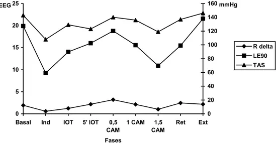 Figura 6.1. Evolución EEG y hemodinámica de cada fase del estudio 
