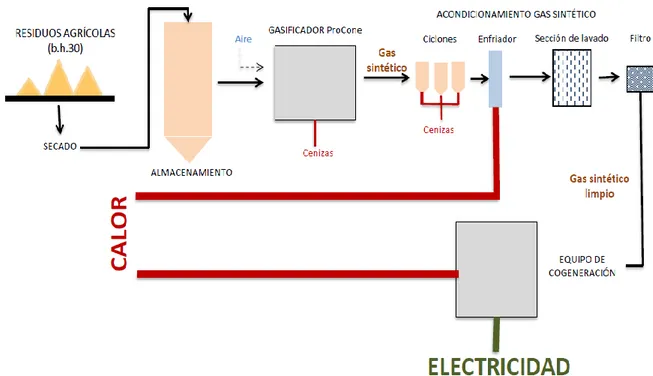 Figura 4. Etapas del proceso de cogeneración mediante la planta de cogeneración por gasificación de  biomasa residual agrícola