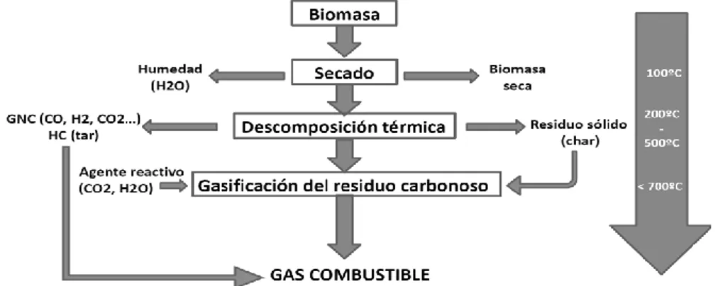 Figura 3. Esquema del proceso de gasificación de la biomasa.  Fuente: Elaboración propia