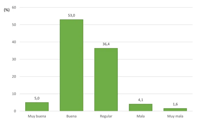 Gráfico 04. Situación económica subjetiva