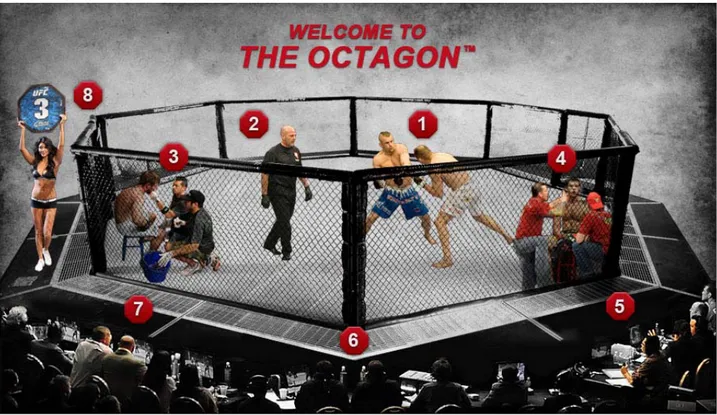 Figura 118. El Octágono. http://www.ufc.com/discover/sport/octagon.   