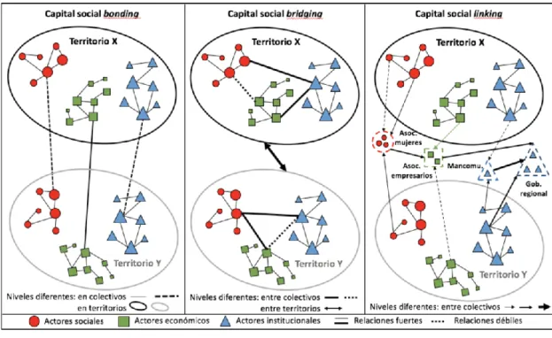 Figura 4. Tipos de capital social 