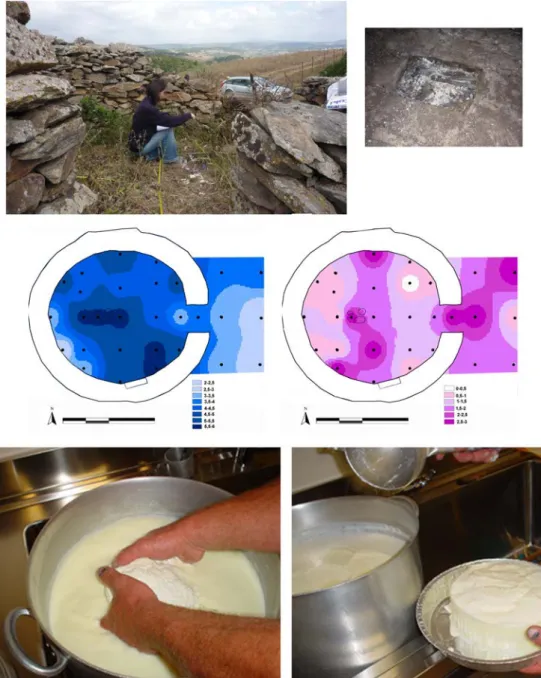 Figura 5.    De arriba a abajo: muestreo de una cabaña de pastores abandonada en Cerdeña y foto de los restos de fogón usado  para hacer el queso; mapa de distribución de fosfatos (azul) y de ácidos grasos (rosa) del pavimento de la cabaña obtenidos aplica