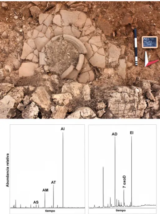 Figura 6.    Dolium etrusco encontrado in situ en el yacimiento de Marsiliana y cromatogramas parciales donde se pueden observar  los marcadores del vino: ácido succínico (AS), ácido málico (AM), ácido tartárico (AT) y ácido isocítrico (AI) y los marcadore