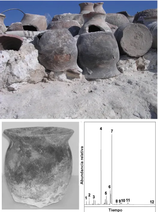 Figura 8.    Fotografía de las cerámicas halladas en el relleno de la bóveda de la iglesia de Sant’Antimo en Piombino (cortesía de   G