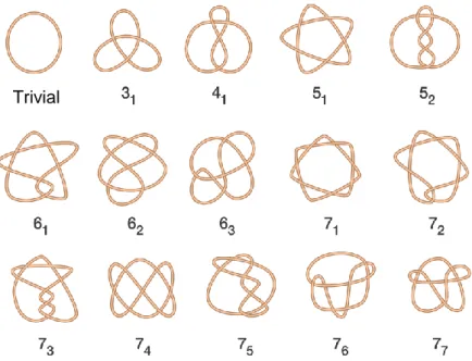 Figura I19. Representación de nudos de complejidad creciente, desde 0 hasta 7 cruces irreducibles