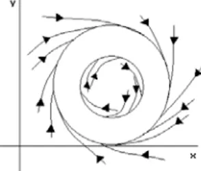 Gráfico 5. Ejemplo de órbitas en un espacio de estados bidimensional con atractor toroidal