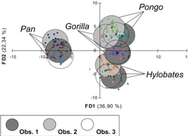 Figura 4.  Representación gráfica de las dos primeras funciones  (FD1 y FD2) derivadas del Análisis Discriminante (AD)  para  cada  especie analizada (Gorilla, Pan, Pongo e Hylobates) considerando  todos los sujetos analizados y mediciones por cada uno de 