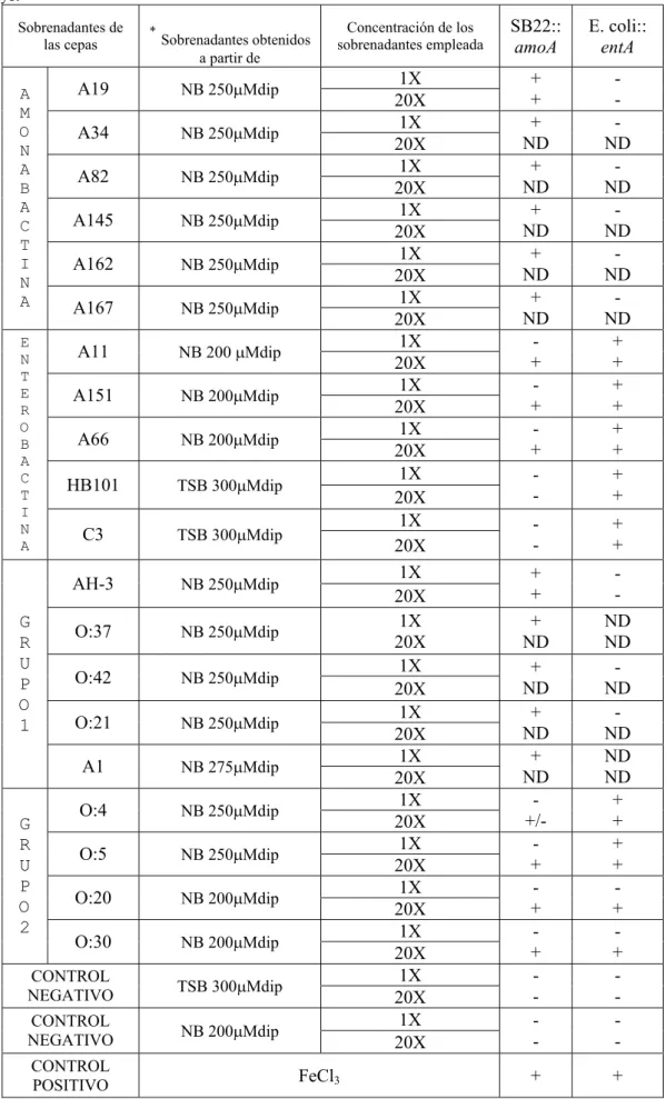 Tabla 3.1. Determinación del tipo de sideróforo secretado por diferentes Aeromonas spp