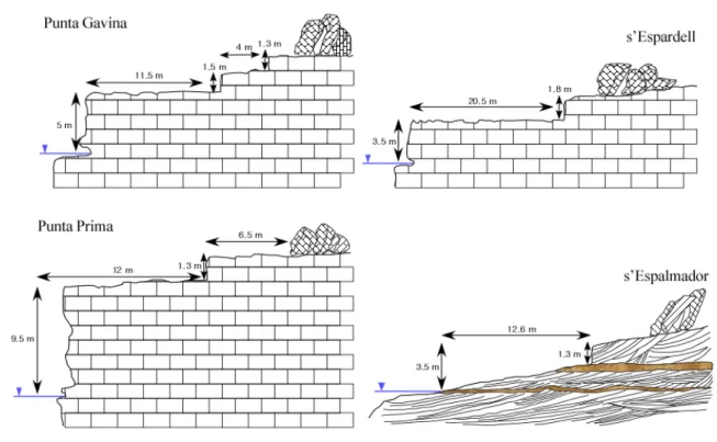 Figura 3. Representación de las cuatro tipologías de costas rocosas asociadas a las cuatro áreas de estudio  (Figura 1)