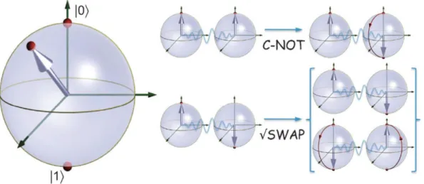 Figura  B.2.2.  Representación  a  partir  de  esferas  de  Bloch  de  las  puertas  lógicas  cuánticas C-NOT y la √SWAP