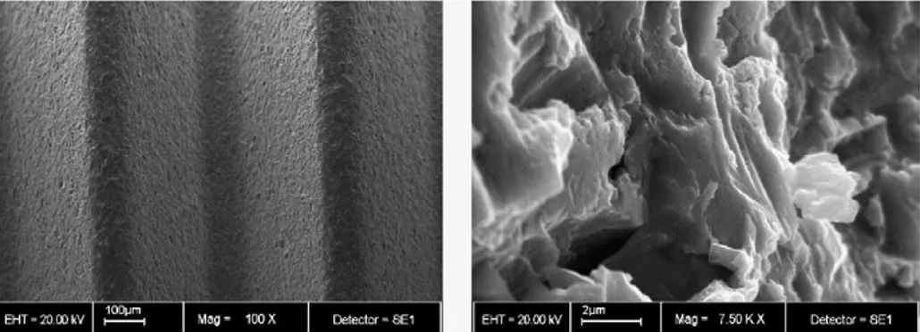 Figure 1. Scanning electron micrograph of sandblasted implant surface. *(from Astratech TiOblast TM , 