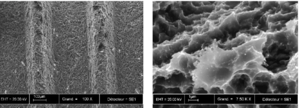 Figure 2. Scanning electron micrograph of acid-etched implant surface. *(from Straumann 