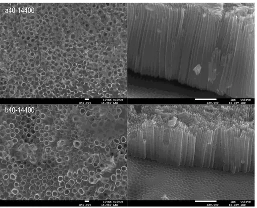 Figure 16. FE-SEM top and cross sectional view of samples a40-14400 and b40-14400. 