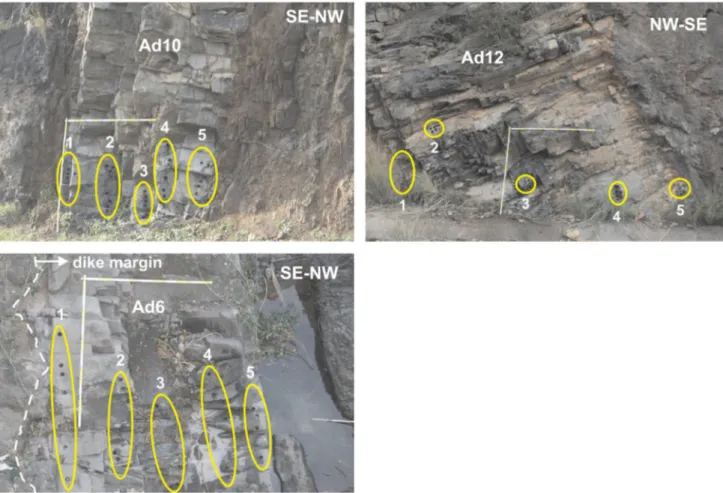 Figure 1. Photograph of dikes AD10, AD12 and AD6 showing the sampling strategy along cross-section profiles of dikes