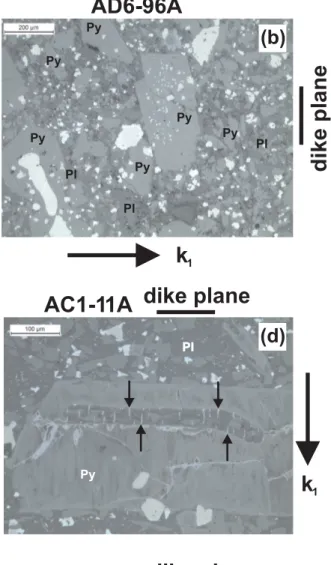 Figure 2. Oriented photomicrographs and Scanning Eectron Microscope (SEM) image of the studied dikes