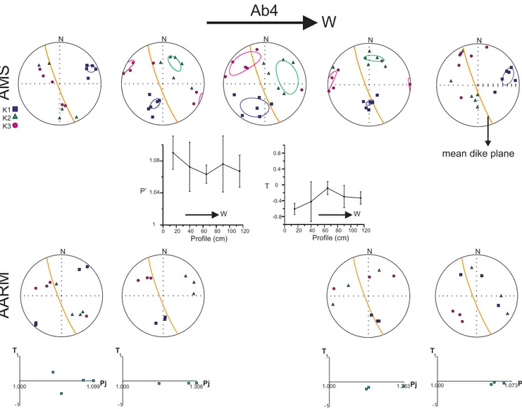 Figure 6. Equal-area lower-hemisphere stereograms of the principal AMS and AARM axes across profile of dike AB4