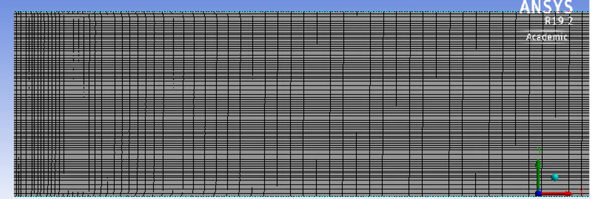 Fig. 4. Zoom of the mesh. The inlet and outlet are high-meshed as they are strategic points  because are the base of calculations, therefore, it's necessary for the program to make a good 