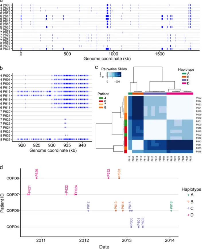FIG 3 Genetic variation within clonal type 48 (CT48). (a) Whole-genome view of all short variants detected for the 17 isolates in CT48, collected from