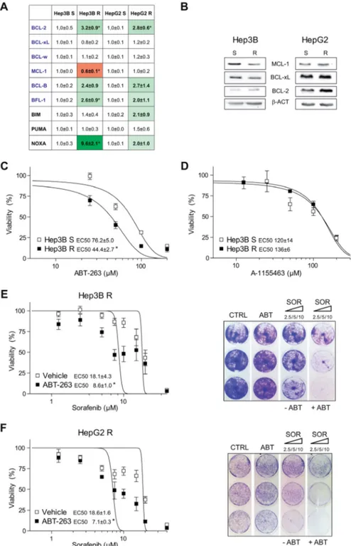 Figure 4: Sorafenib-resistant hepatoma cells exhibit mRNA changes in BCL-2 proteins and are re-sensitized to  sorafenib by ABT-263 exposure