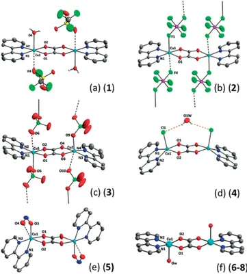 Figure 1. Perspective view of the dinuclear units in compounds 1–8. Colour code: grey (carbon), dark blue (nitrogen), red (oxygen), green (halogen, F or Cl) and pale blue (copper).