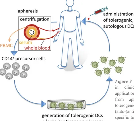 Figure 9. Tolerogenic dendritic cells (DCs) 