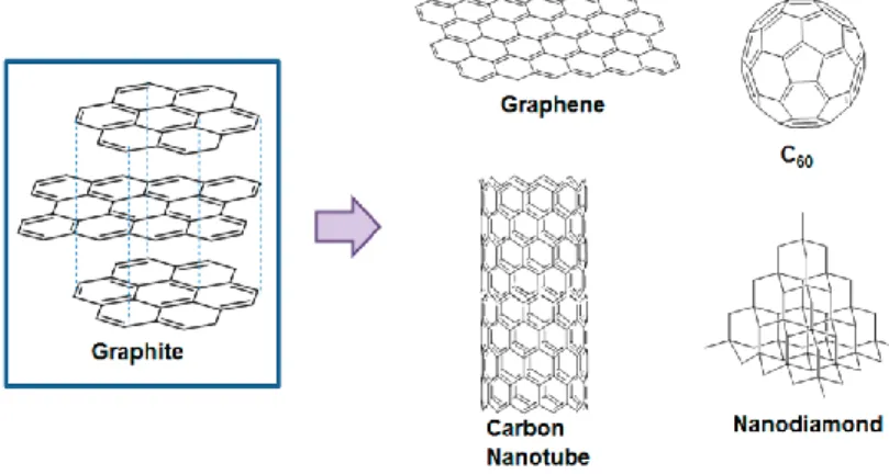 Figure 2 : Various types of carbon-based nanomaterials  (6)