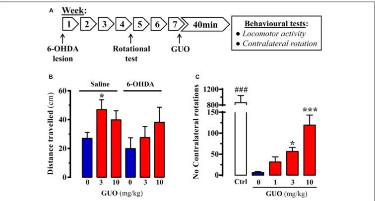 FIGURE 2 | Effect of guanosine (GUO) on hemiparkinsonian rats. (A) Treatment schedule depicting the 6-OHDA lesion, rotational test (see section “Materials and Methods”) and the administration regimen of guanosine (GUO, 0, 1, 3, 10 mg/kg, p.o.) and behavior