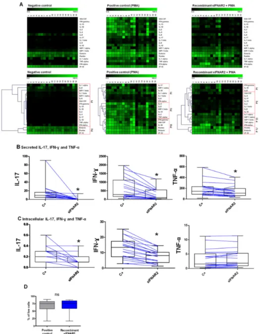 Figure 1. Immunomodulatory activity of recombinant sIFNAR2. (A) Heatmaps showing the  production of secreted cytokines, chemokines and growth factors in human cells in the presence of  recombinant sIFNAR2