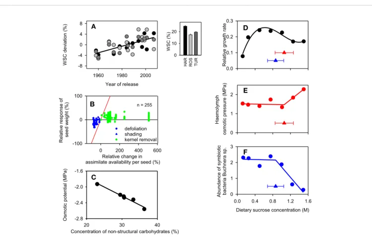 FIGURE 1 | (A) Selection for yield over ﬁve decades steadily increased the concentration of water soluble carbohydrates (WSC) in wheat adapted to winter-rainfall environments of Australia